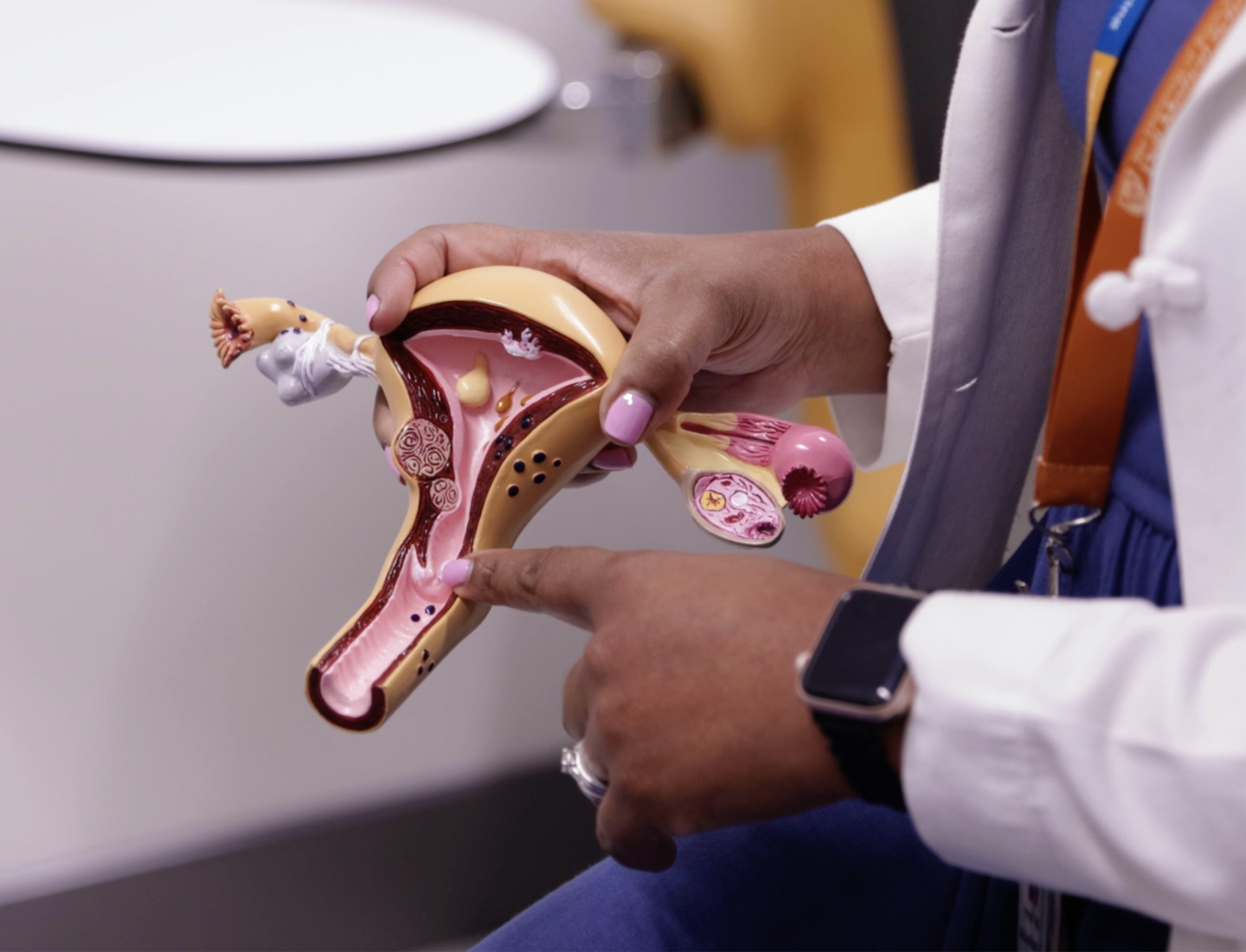 The hands of M. Yvette Williams-Brown, MD, pointing to a model of the female reproductive system.