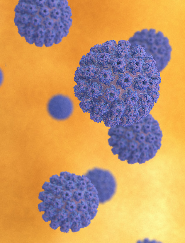 Digital rendering of the human papillomavirus in purple against a yellow-orange background.