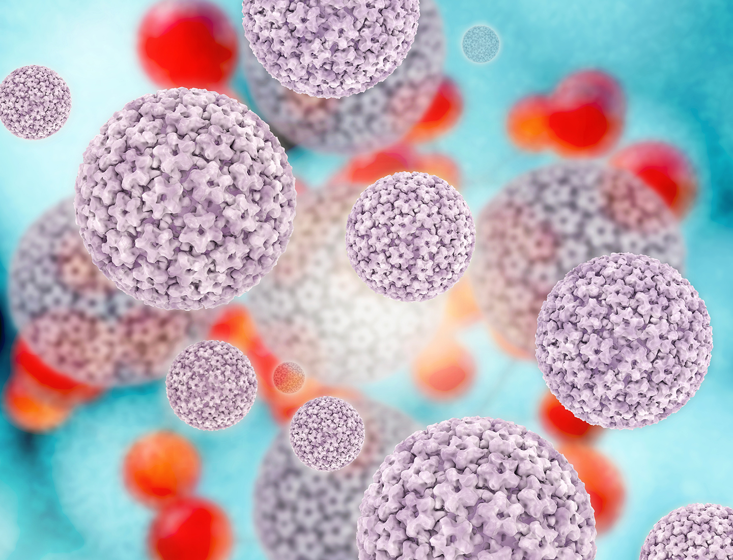 Digital rendering of the human papillomavirus