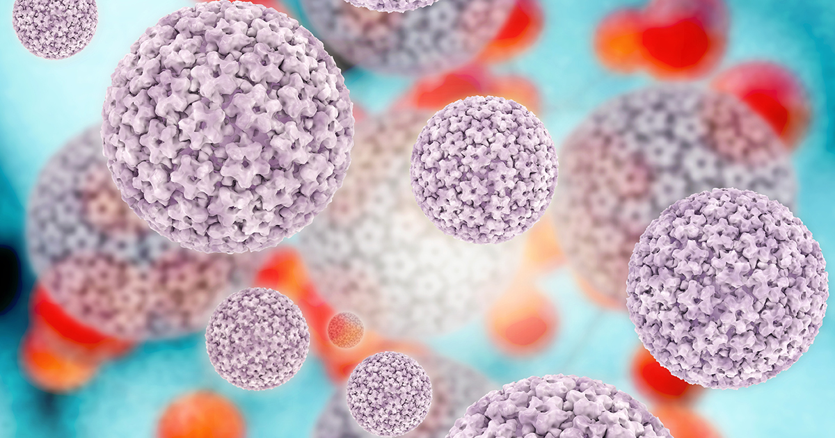 Digital rendering of the human papillomavirus