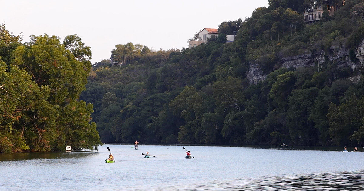 Paddleboarders with trees on either side of the waterway.