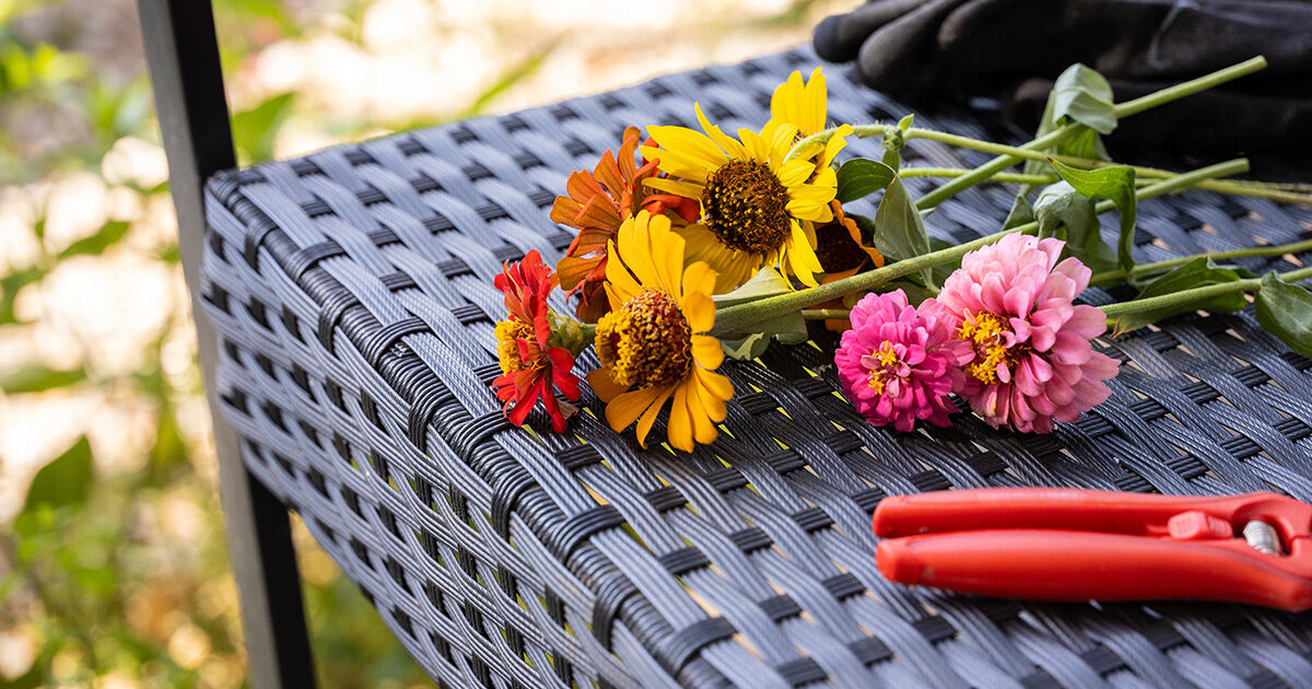 Cut flowers resting on a chair next to gardening gloves and shears.