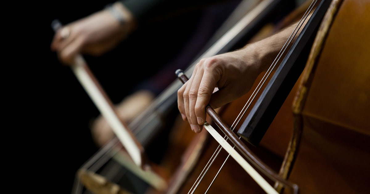 A closeup of two cellist's hands drawing their bows across the instrument.