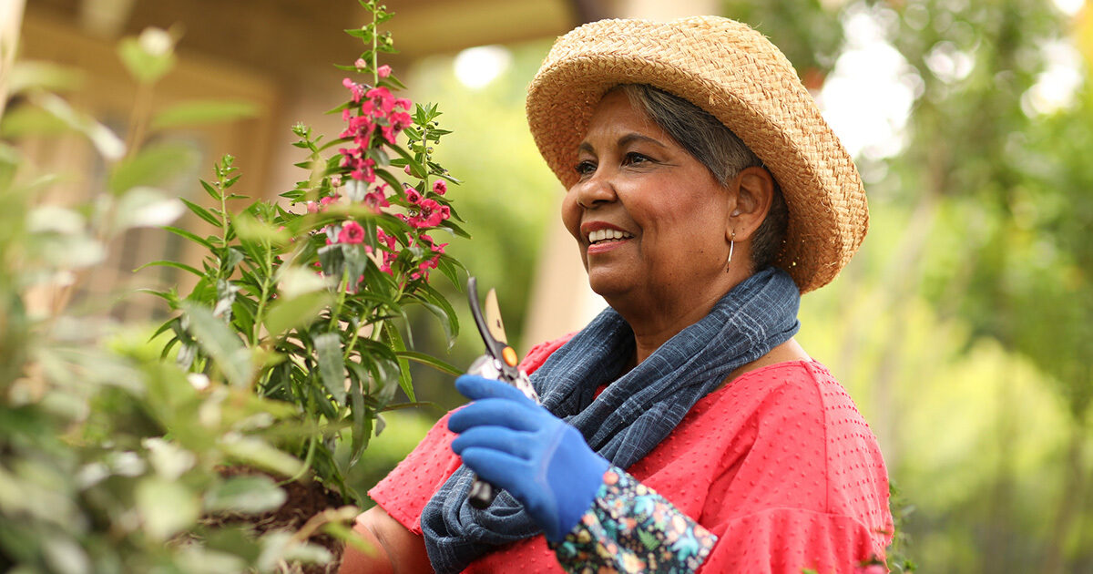 A woman in a straw hat and gardening gloves holding shears up to a flowering bush.