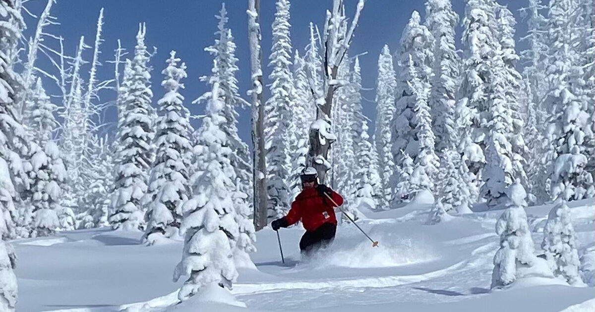 Michael Fedun skiing down a mountain, surrounded by snowy trees.