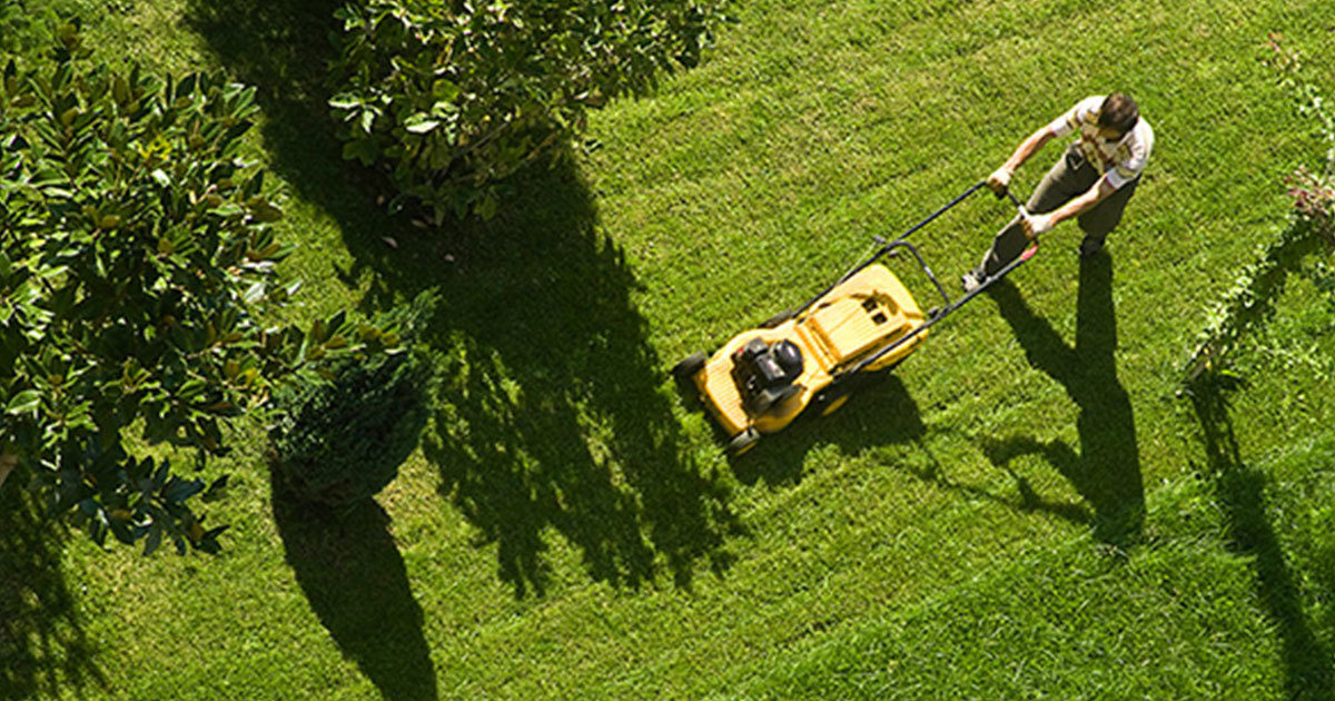 A top-down view of a person pushing a lawn mower through grass.